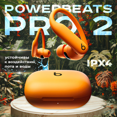 Сүрөт