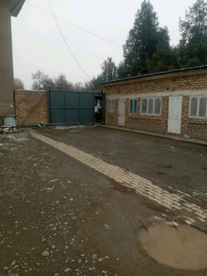Сүрөт
