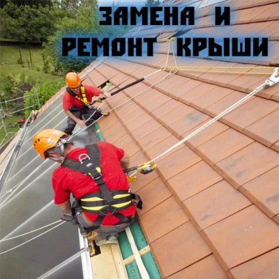 Сүрөт