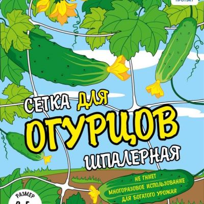 Сүрөт