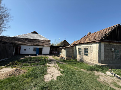 Сүрөт