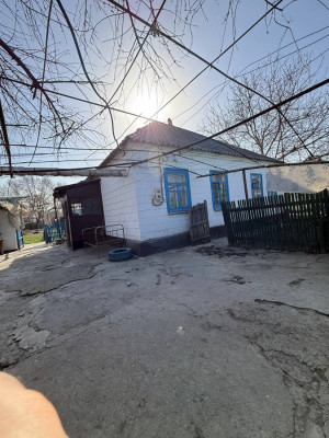 Сүрөт