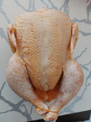 Сүрөт