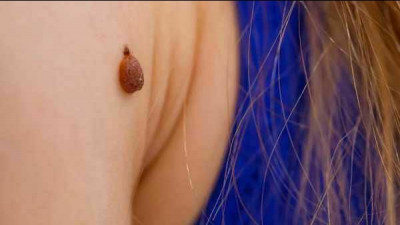 Сүрөт
