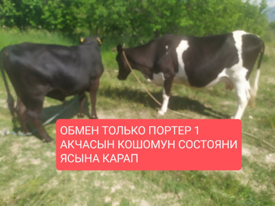 Фото