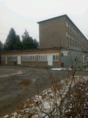 Сүрөт